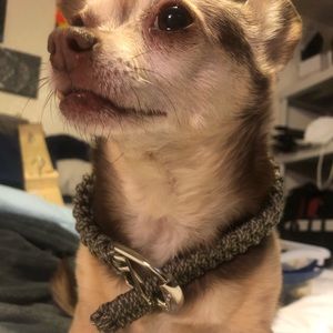 Meet your Posher, Hailey